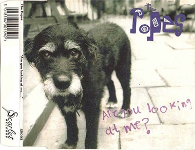 The Popes - Are You Looking At Me? download mp3 flac
