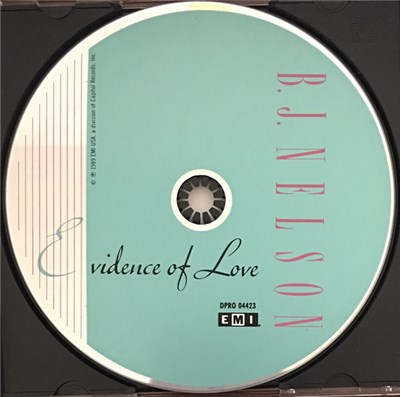 B.J. Nelson - Evidence Of Love download mp3 flac