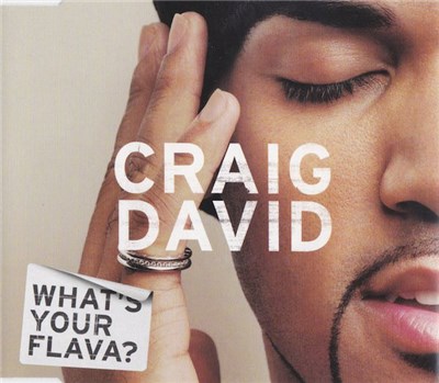 Craig David - What's Your Flava? download mp3 flac