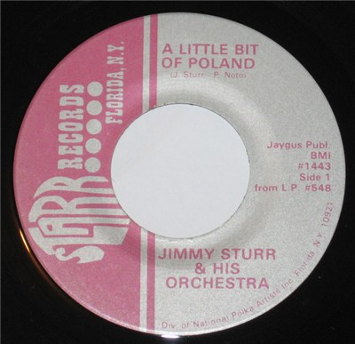 Jimmy Sturr And His Orchestra - A Little Bit Of Poland download mp3 flac