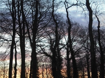 Nice Cold Nation - Last Kiss At Dawn download mp3 flac