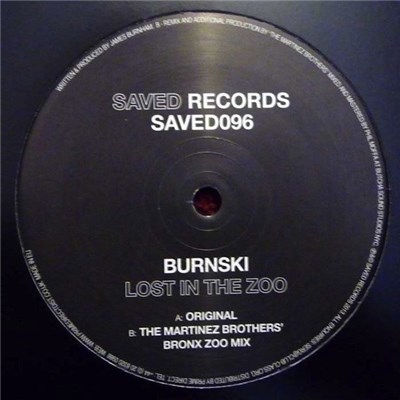 Burnski - Lost In The Zoo download mp3 flac