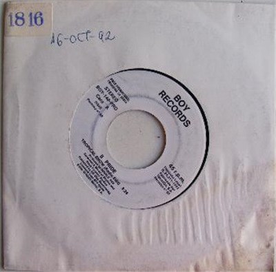 II Pride - Tropical Snow download mp3 flac