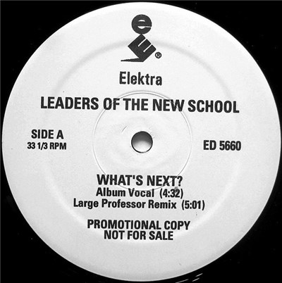 Leaders Of The New School - What's Next download mp3 flac