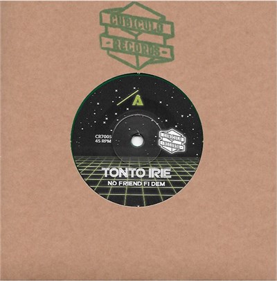 Tonto Irie - No Friend Fi Dem download mp3 flac