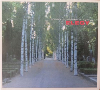 Ronny Johansson Trio - Elegy download mp3 flac