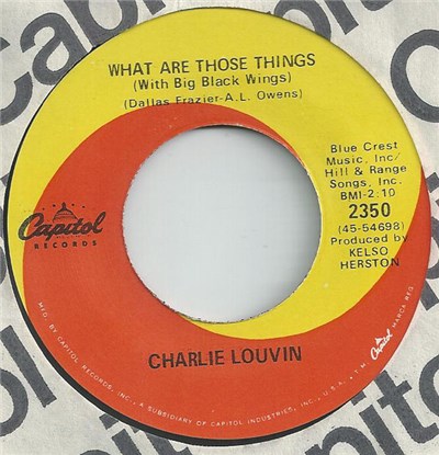 Charlie Louvin - What Are Those Things (With Big Black Wings) download mp3 flac