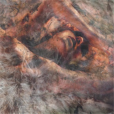 Converge - Unloved And Weeded Out download mp3 flac