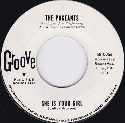 The Pageants - She is Your Girl download mp3 flac