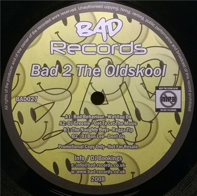 Various - Bad 2 The Oldskool download mp3 flac