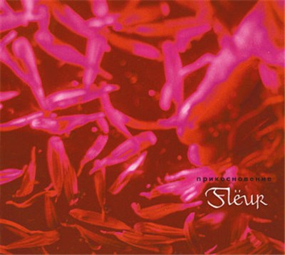 Flëur - Прикосновение download mp3 flac