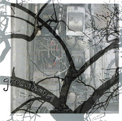 Greenhorn - Greenhorn download mp3 flac