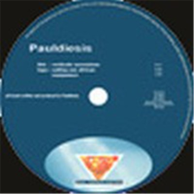 Pauldiesis - Verticale Ascensione download mp3 flac