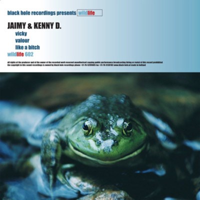 Jaimy & Kenny D. - Vicky download mp3 flac