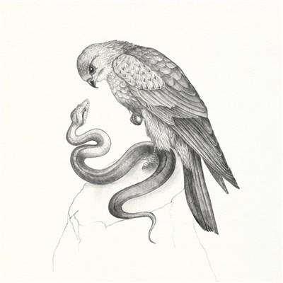 Savages - Flying To Berlin / Husbands download mp3 flac