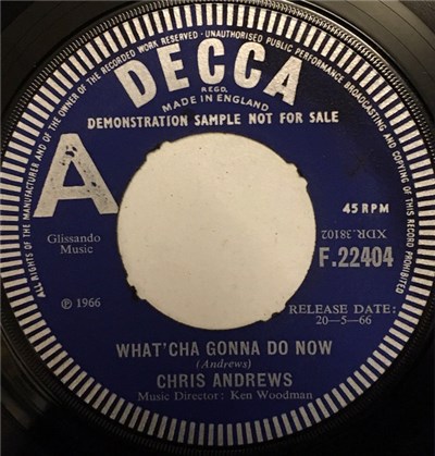 Chris Andrews - What'cha Gonna Do Now download mp3 flac