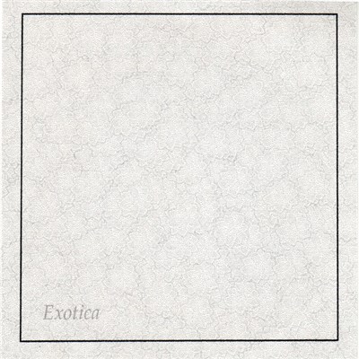 Paul 9 - Exotica download mp3 flac