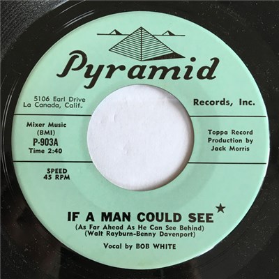 Bob White - If A Man Could See download mp3 flac