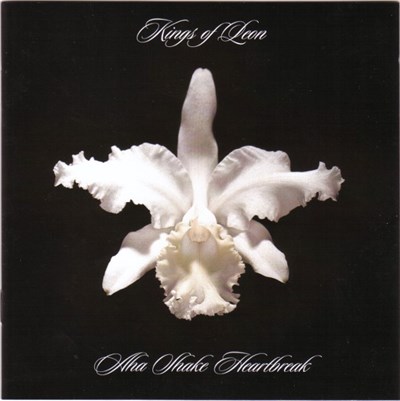 Kings Of Leon - Aha Shake Heartbreak download mp3 flac