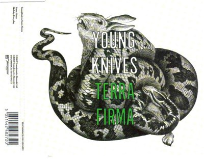 Young Knives - Terra Firma download mp3 flac