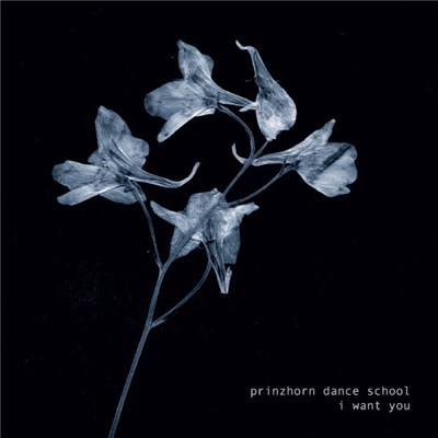 Prinzhorn Dance School - I Want You download mp3 flac