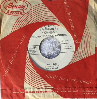 Nick Adams - Bull Run / Born A Rebel download mp3 flac