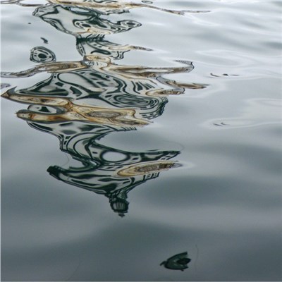 The Island - Lamia download mp3 flac