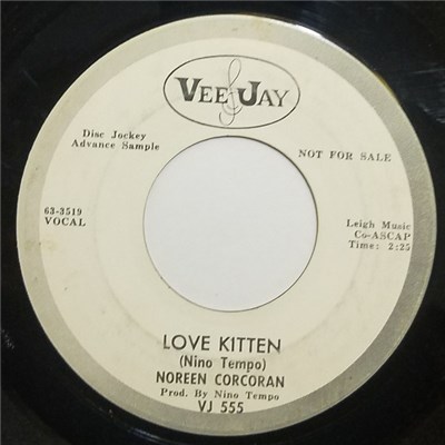 Noreen Corcoran - Love Kitten download mp3 flac