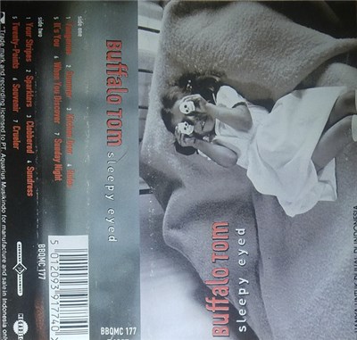 Buffalo Tom - Sleepy Eyed download mp3 flac
