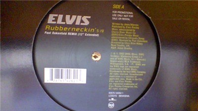 Elvis - Rubberneckin' (Paul Oakenfold Remix) download mp3 flac