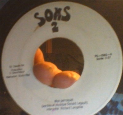 Richard Langelier - Sons 2 download mp3 flac