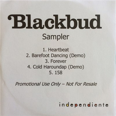 Blackbud - Sampler download mp3 flac