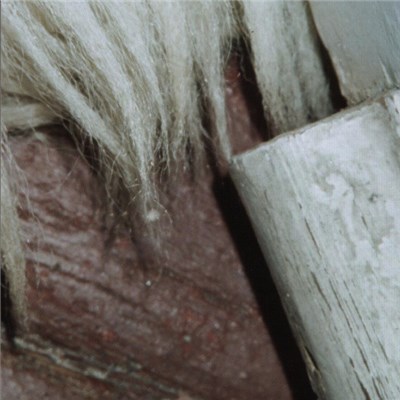Prior Pranger - Senke download mp3 flac
