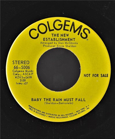 The New Establishment - (One Of These Days) Sunday's Gonna' Come On Tuesday / Baby The Rain Must Fall download mp3 flac