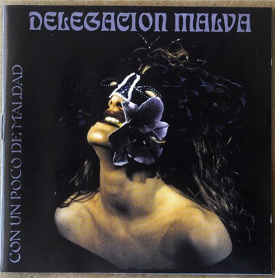 Delegación Malva - Con Un Poco De Maldad download mp3 flac