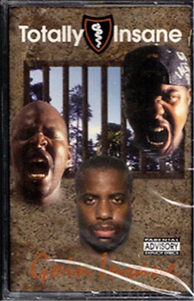 Totally Insane - Goin Insane download mp3 flac