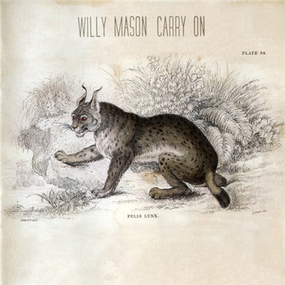 Willy Mason - Carry On download mp3 flac