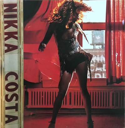 Nikka Costa - Everybody Got Their Something download mp3 flac