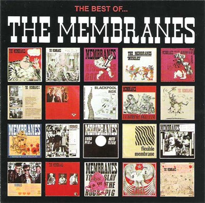 The Membranes - The Best Of... download mp3 flac