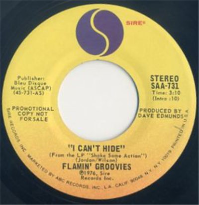 The Flamin' Groovies - I Can't Hide download mp3 flac
