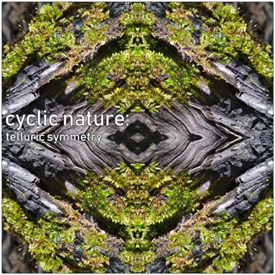 Cyclic Nature - Telluric Symmetry download mp3 flac