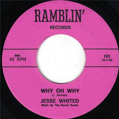 Jesse Whited - Why Oh Why download mp3 flac