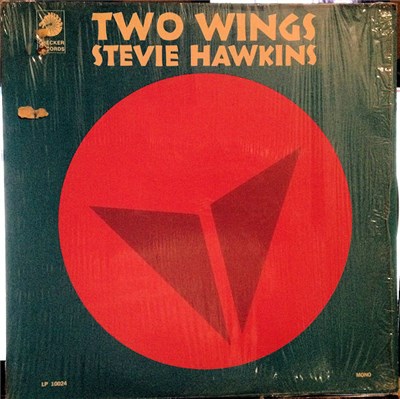 Stevie Hawkins - Two Wings download mp3 flac