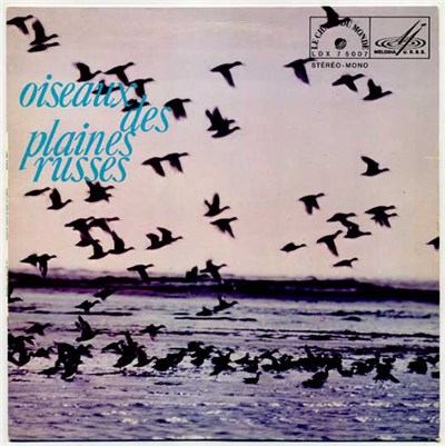 No Artist - Oiseaux Des Plaines Russes download mp3 flac