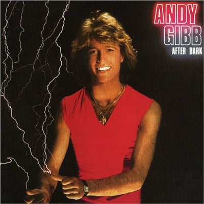 Andy Gibb - After Dark download mp3 flac