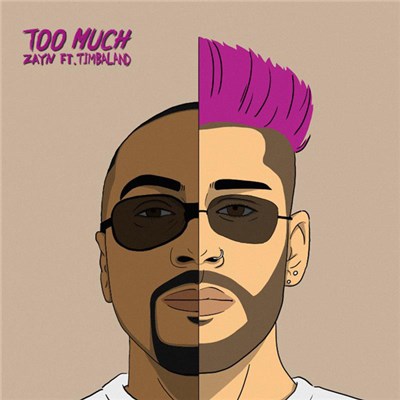 ZAYN Ft. Timbaland - Too Much download mp3 flac