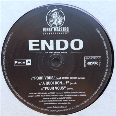 Endo - Pour Vous download mp3 flac