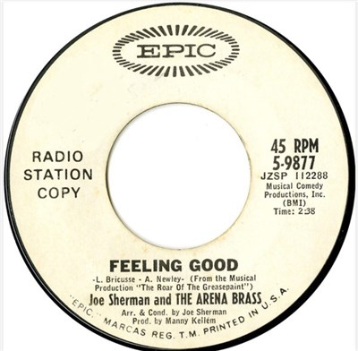 Joe Sherman And The Arena Brass - Feeling Good download mp3 flac