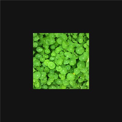 Hey Exit - Which Ones Will Be Restored (Slow Names 6) download mp3 flac