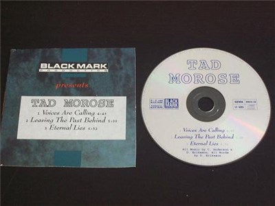 Tad Morose - Voices Are Calling download mp3 flac